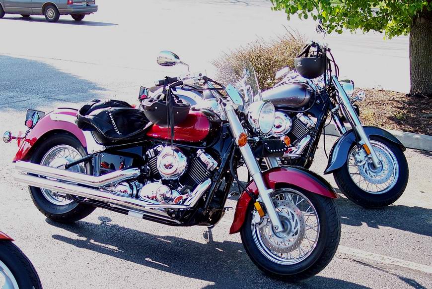 Scott81