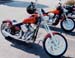 Scott82
